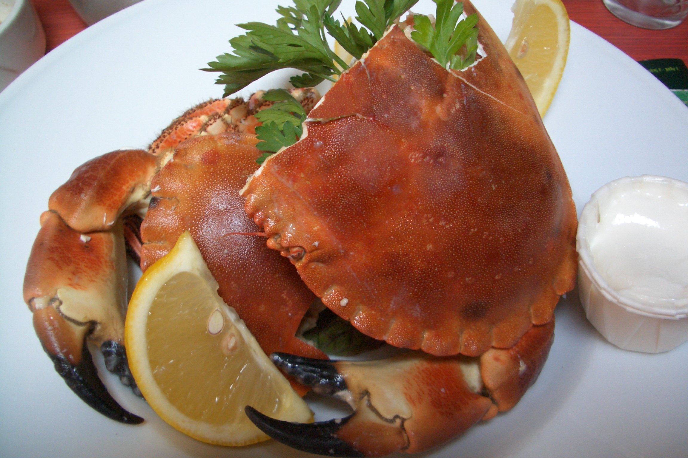 Yarmouth crab